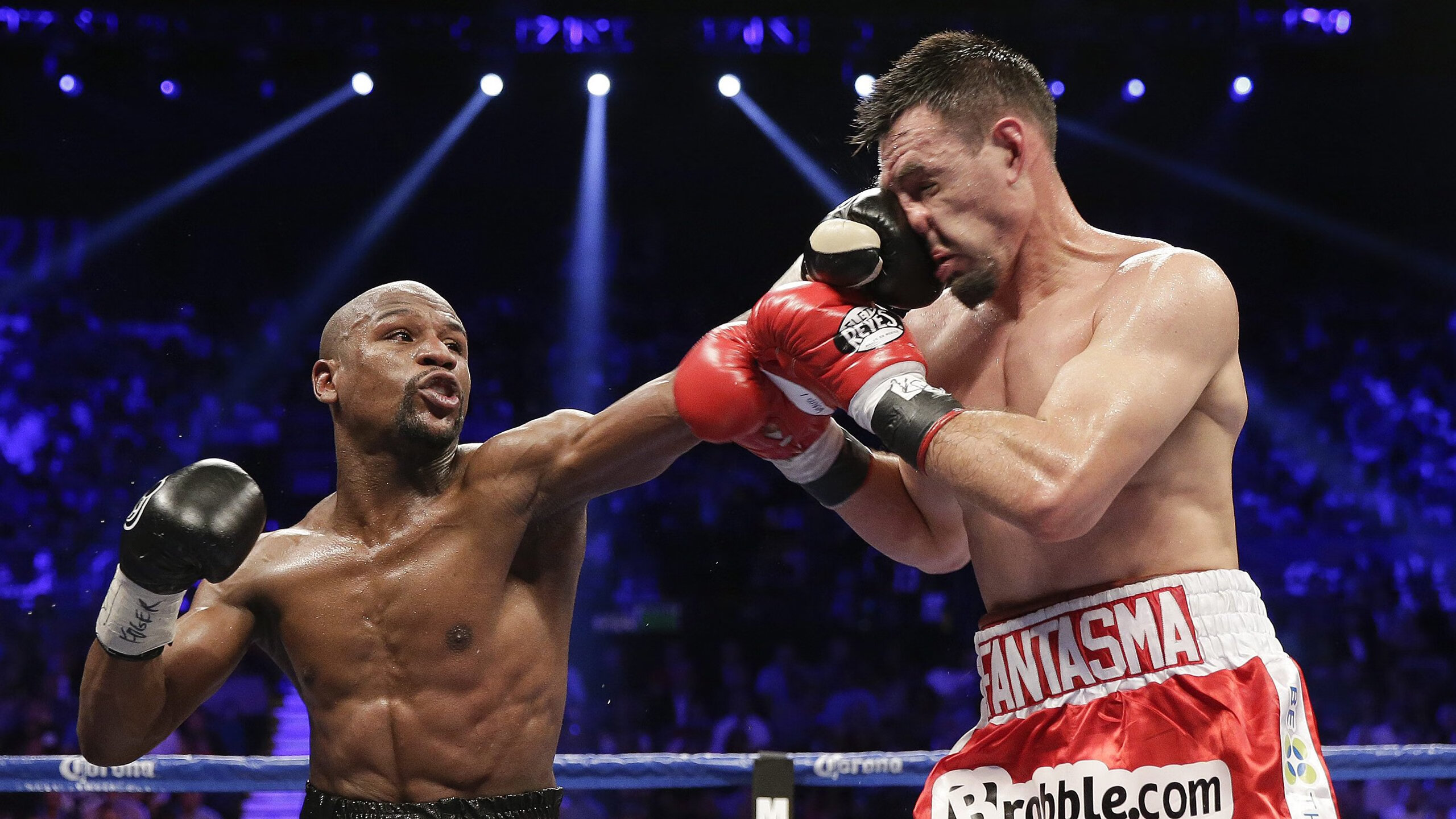 中国小将闪耀泳联赛场 初生牛犊不怕虎